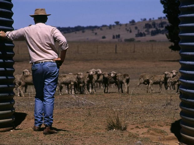 farmer